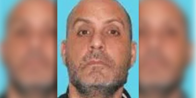 Convicted mobster Lee D'Avanzo was given a sentence of 64 months in prison on Friday after he pleaded guilty to being a felon in possession of loaded firearms.