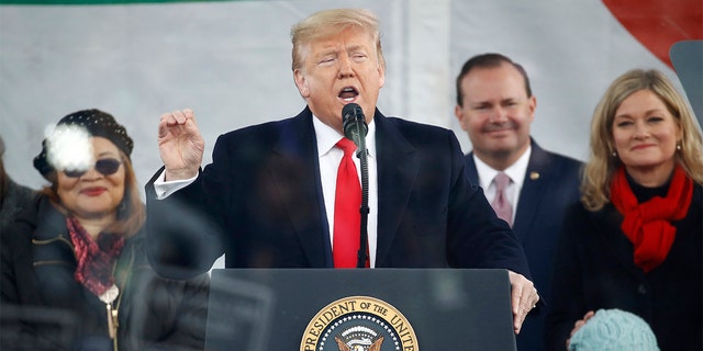President Donald Trump speaks at the "March for Life" rally, Friday, Jan. 24, 2020, on the National Mall in Washington. (AP Photo/Patrick Semansky)