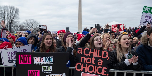 Supporters cheer as President Donald Trump speaks during the annual "March for Life" rally on the National Mall, Friday, Jan. 24, 2020, in Washington. (AP Photo/ Evan Vucci)