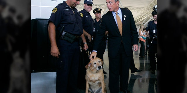 Bloomberg’s ruff time: Dem greets dog by shaking its mouth ...