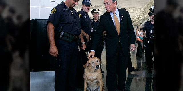 New York City Mayor Mike Bloomberg pets a security dog in the new AA terminal at John F. Kennedy International Airport on July 27, 2005 in New York City. (Photo by Chris Hondros/Getty Images)