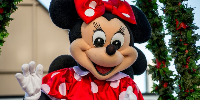 "Minnie" and the security guard brawled in front of a group of tourists and onlookers, the viral video shows.
