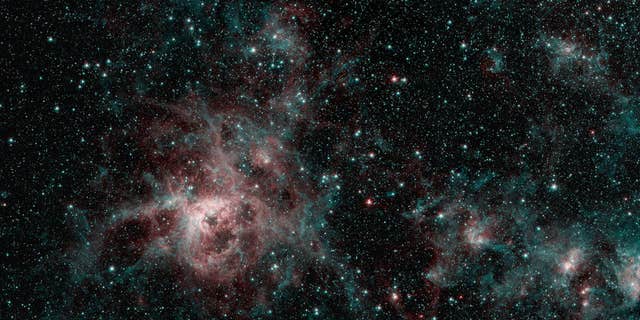 This image captured by NASA's Spitzer Space Telescope shows the Tarantula Nebula in two wavelengths of infrared light.