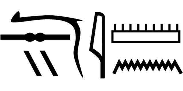 Nesyamun’s name in hieroglyphs as shown in his coffin inscriptions. (Scientific Reports)