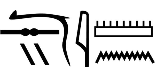 Nesyamun’s name in hieroglyphs as shown in his coffin inscriptions. (Scientific Reports)