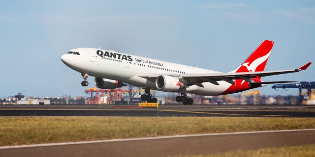 Kay Newman launched a Change.org petition in order to urge Qantas to change its “animal care standards and procedures to prevent any more avoidable deaths.” The petition had nearly 70,000 signatures as of Thursday morning.