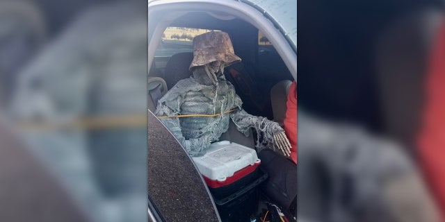 Arizona troopers ticketed a man in the HOV lane with a skeleton as his passenger.