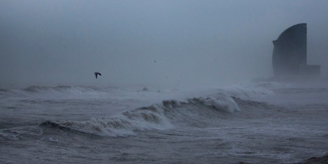 A seagull flies amid a storm in Barcelona's beach, Spain, Wednesday, Jan. 22, 2020.