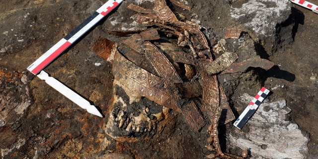 Details of calathos in situ. (Credit: Institute of Archaeology RAS)