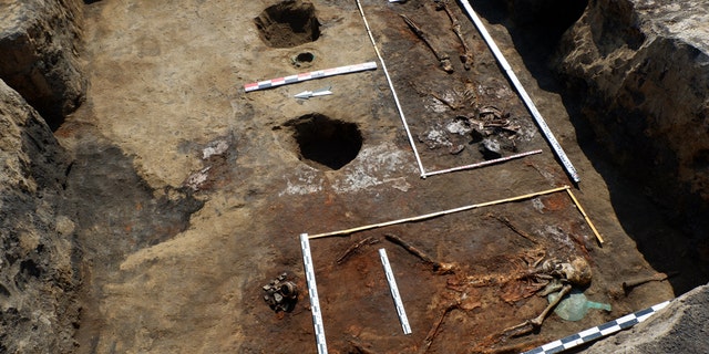 General view of the cemetery. (Credit: Institute of Archaeology RAS)