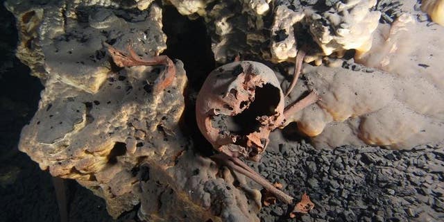 Skeletal remains found inside a submerged cave in Mexico are among the oldest found in the Americas. (Jerónimo Avilés)