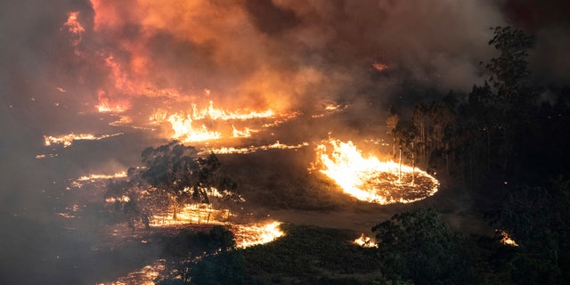 This Monday, Dec. 30, 2019 photo provided by State Government of Victoria shows wildfires in East Gippsland, Victoria state, Australia.