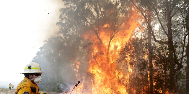 A firefighters backs away from the flames after lighting a controlled burn near Tomerong, Australia, Wednesday, Jan. 8, 2020, in an effort to contain a larger fire nearby.  (AP Photo/Rick Rycroft)
