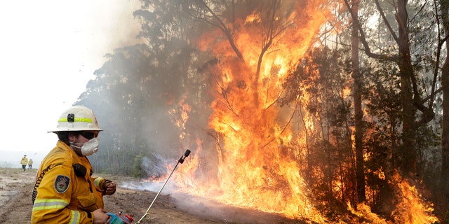 A firefighters backs away from the flames after lighting a controlled burn near Tomerong, Australia, Wednesday, Jan. 8, 2020, in an effort to contain a larger fire nearby. (AP Photo/Rick Rycroft)
