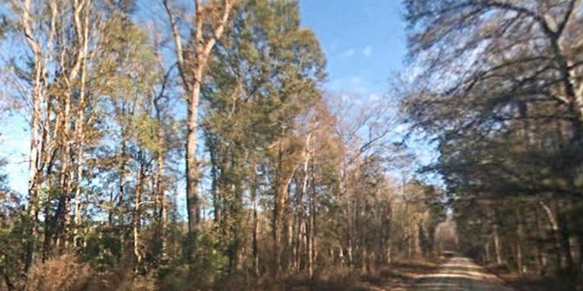 The area in Colleton County, outside of Charleston, S.C., where the accident occurred. (Google Maps)