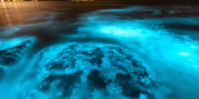 The gorgeous natural phenomenon took place at Plantation Point in Jervis Bay, Australia.