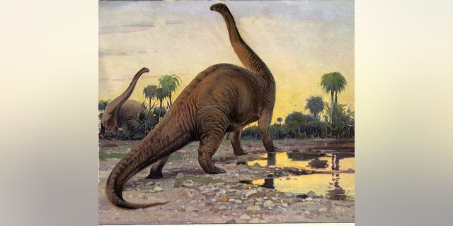 Drawing of the late Jurassic dinosaur, Brontosaurus.