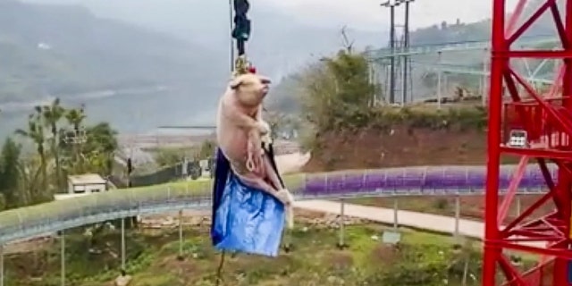 The stunt was reportedly to celebrate the opening of the new bungee jump attraction at the theme park.