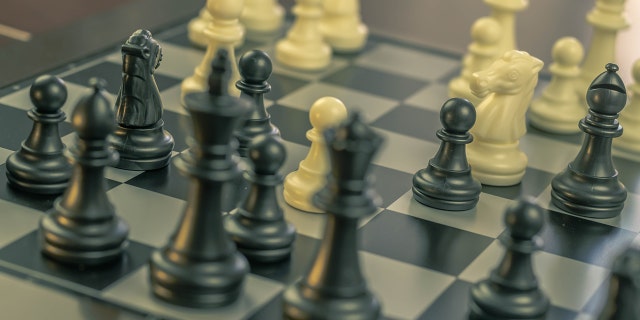 Chess is a game of strategy and tactics that anyone of almost any age can learn to play.