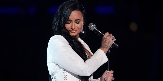 Cary Russell and her mother Diane Dinow, owners of The Bigg Chill, spoke with Fox News on Monday and said the entire situation, including Demi Lovato’s half-hearted apology, is 'comical.' (Photo by Matt Sayles/Invision/AP, File)