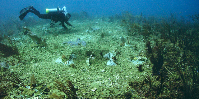 Technicolor coral once covered stretches of underwater reefs in the Florida Keys and beyond. But now, they are dying. Researchers are likening the reefs to abandoned underwater cities.