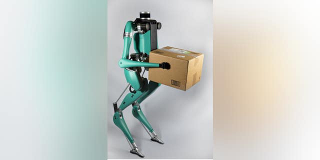 Digit is a product of Agility Robotics.