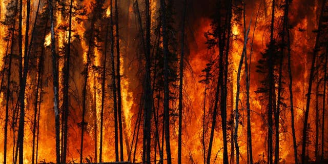 Flames rise from an experimental forest fire in Canada’s remote Northwest Territories.