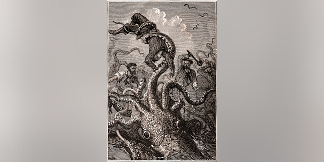 Westlake Legal Group giant-squid-2 Scientists unlock secrets about mysterious giant squid fox-news/science/wild-nature/fish fox-news/science/natural-science/genetics fox-news/science fox news fnc/science fnc fd6c1457-c439-52c1-a1fc-bd8da6bb2214 Chris Ciaccia article