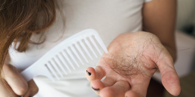 Everyone sheds about 100 hairs each day as part of the normal hair growth cycle, but excess loss is usually a distressing development.