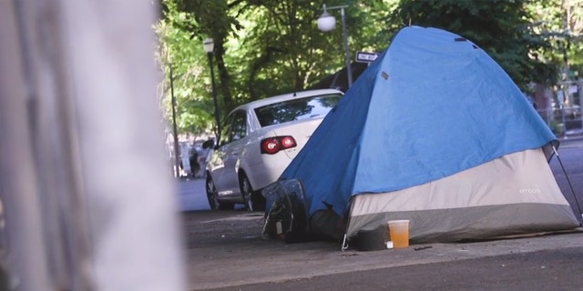 Homeless Woman In Portland Sleeping In Front Of Garage Run Over By