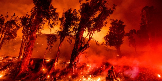 FILE - In this Nov. 1, 2019, file photo, flames from a backfire consume a hillside as firefighters battle the Maria Fire in Santa Paula, Calif. The decade that just ended was by far the hottest ever measured on Earth, capped off by the second-warmest year on record, NASA and the National Oceanic and Atmospheric Administration reported Wednesday, Jan. 15, 2020. (AP Photo/Noah Berger, File)