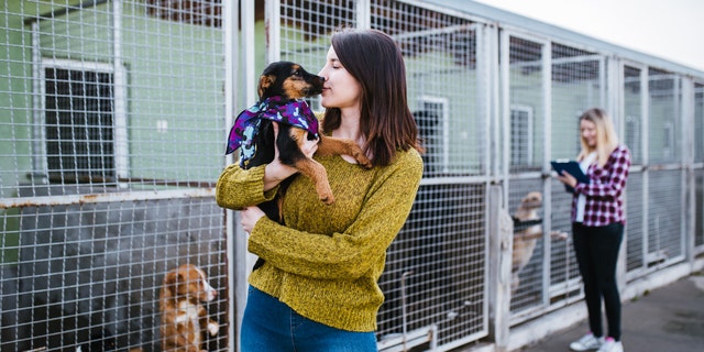 Florida wouldn’t be the first state to declare shelter pets an official state icon.