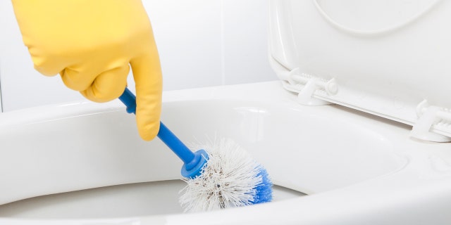 More than a fifth of people born after 1981 scrubbed their toilets every four weeks, compared to just over a tenth of Gen Xers and baby boomers who do the same.