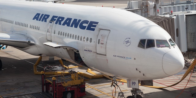 A child stowaway was found dead Wednesday on an Air France plane, similar to the one pictured above. (iStock)