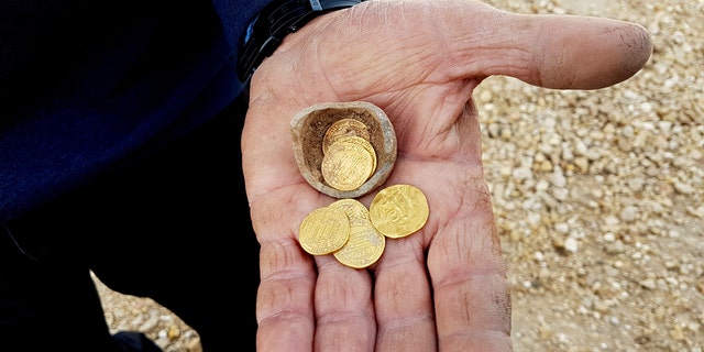 The hoard of gold coins. (Credit: Liat Nadav-Ziv, Israel Antiquities Authority)