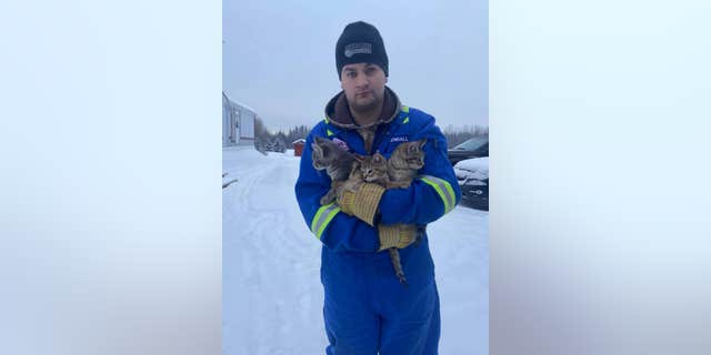 Kendall Diwisch, who found the kittens, reported an update that all three of the kittens are now thriving.