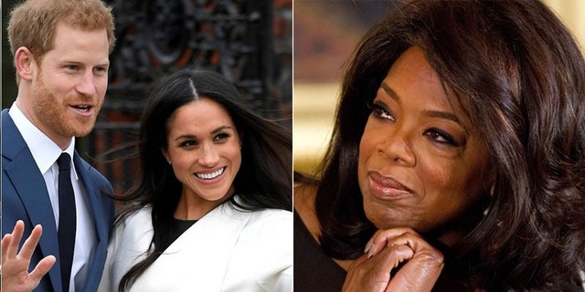 TMZ headman Harvey Levin told Fox News Prince Harry's previous work with Oprah Winfrey positions himself for success in the media spectrum.  