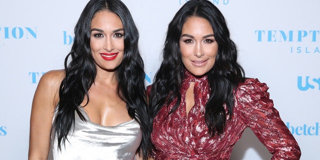 Nikki Bella, left, and twin sister Brie Bella are expecting babies at the same time, they announced on Wednesday.