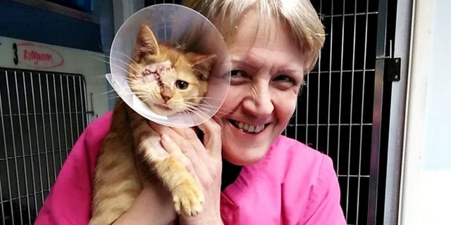 “Tango was brought in to us six weeks ago after his litter was attacked by a weasel or fox," explained the shelter's founder Leanne Kent, "three were sadly killed and Tango arrived with his brother Cash."