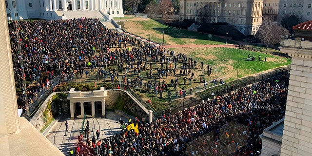 Cool: Virginia's Capitol flooded with gun rights activists for Second Amendment rally Richmond-rally-6