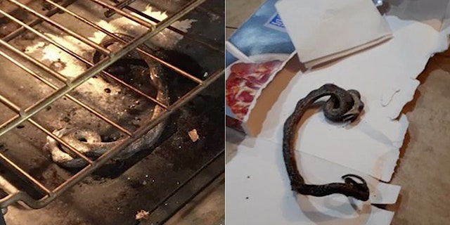 The group did not eat the pizza that night, but the entire incident has left Amber nervous.