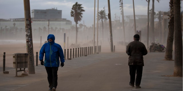 At least four people have died as storms carrying heavy snowfalls and gale-force winds lashed many parts of Spain.