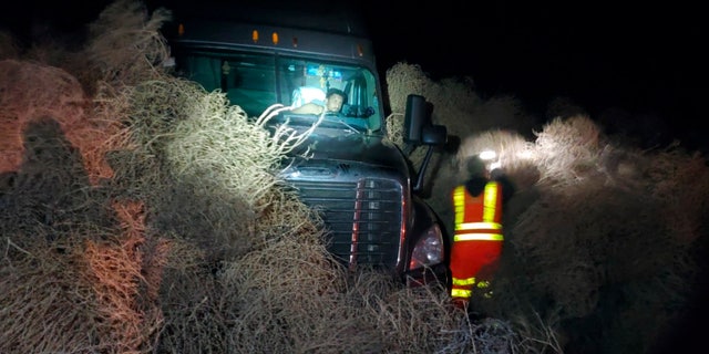 In this image taken Tuesday evening, Dec. 31, 2019, and provided by the Washington State Patrol, a vehicle is trapped by a pile of tumbleweeds along State Route 240 near Richland, Wash.