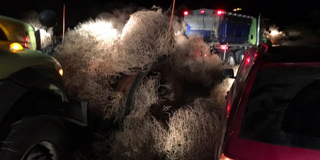 In this image taken Tuesday evening, Dec. 31, 2019, and provided by the Washington State Patrol, Washington State Department of Transportation using snow plows to remove a pile of tumbleweeds along State Route 240 near Richland, Wash.