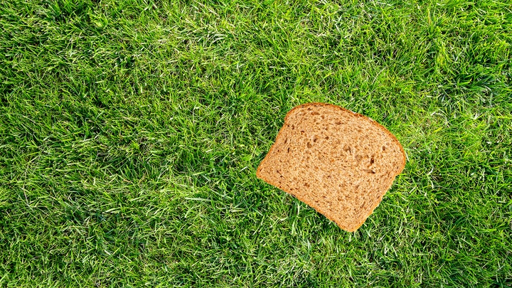 Popular trend of photographing stapled bread gains buzz in UK
