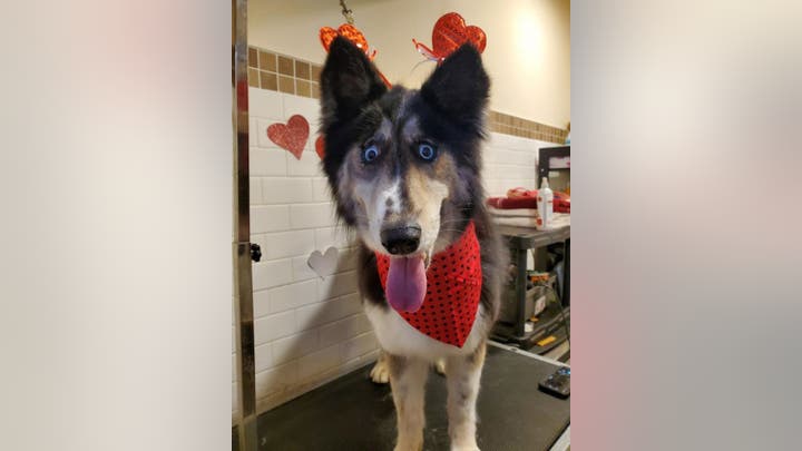 Fox News Flash top headlines for Jan. 20