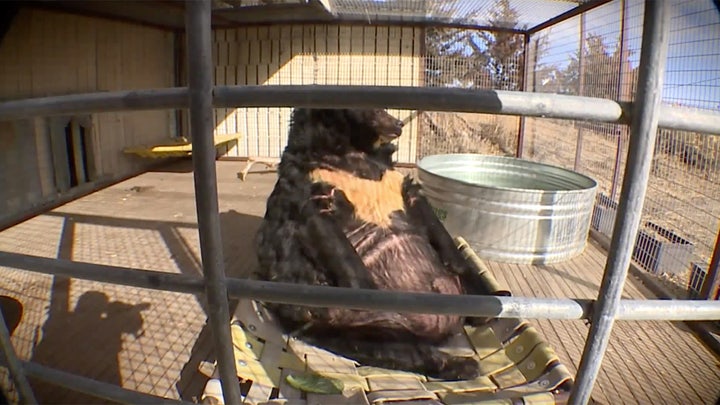 Fox News Flash top headlines for Jan. 25