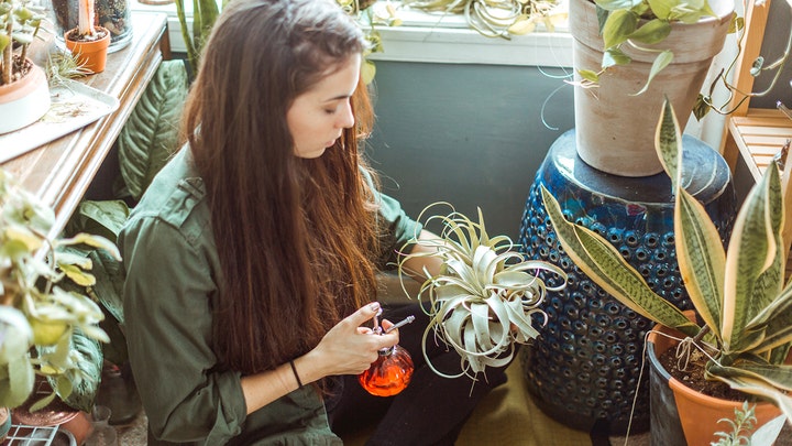 World’s first 'plant hotel' opens in London