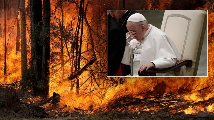 Race to save wildlife in Australia as fires continue to burn