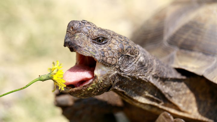 Fox News Flash top headlines for Jan. 30